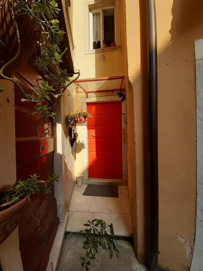 Апартаменти Il Nido Dell'Arancio Каррара Екстер'єр фото